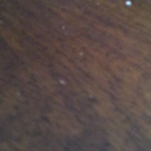 Meet your Posher, Charlie